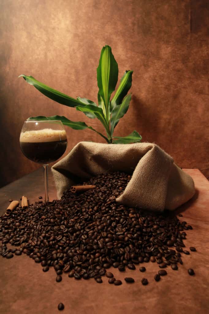 Coffee product photography